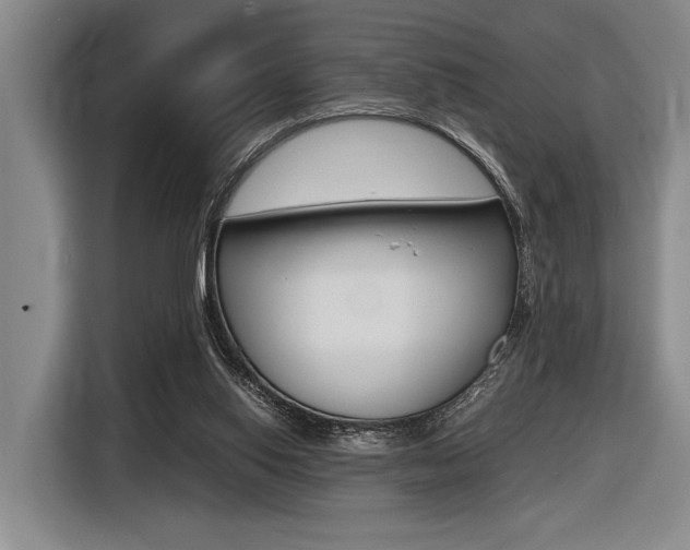 X0000116620062200912110949
