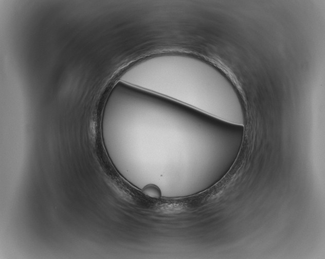 X0000116620063200912110949