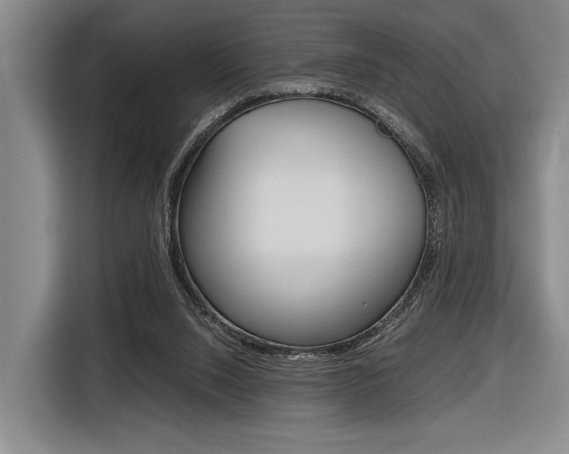 X0000116620064200912110949