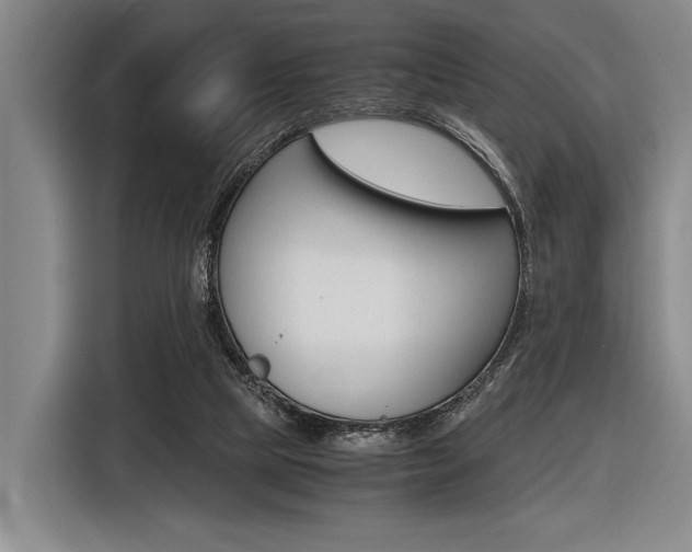 X0000116620065200912110949