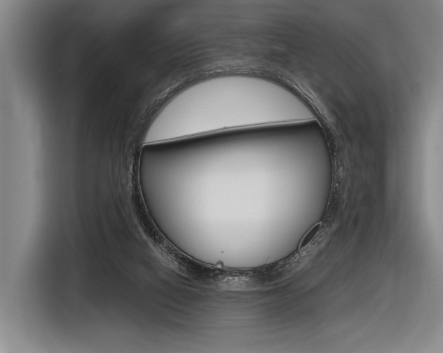 X0000116620066200912110949