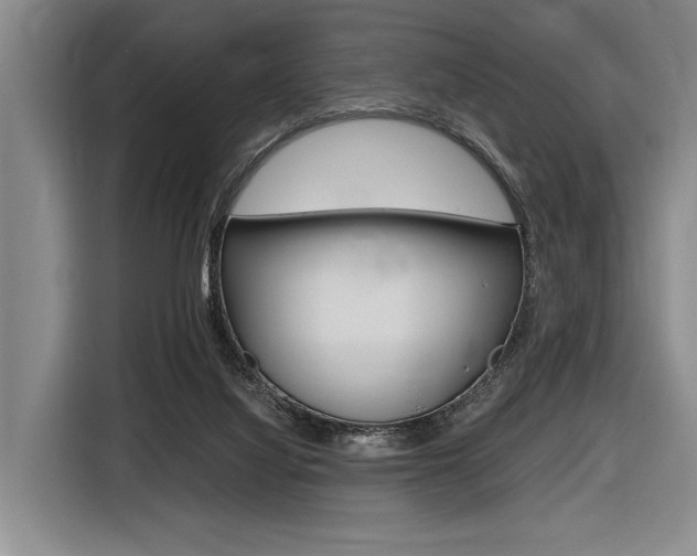 X0000116620068200912110949