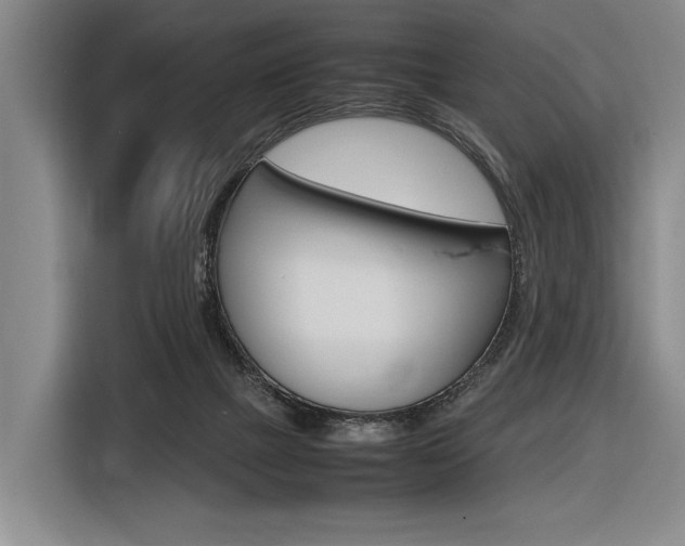 X0000116620073200912110949