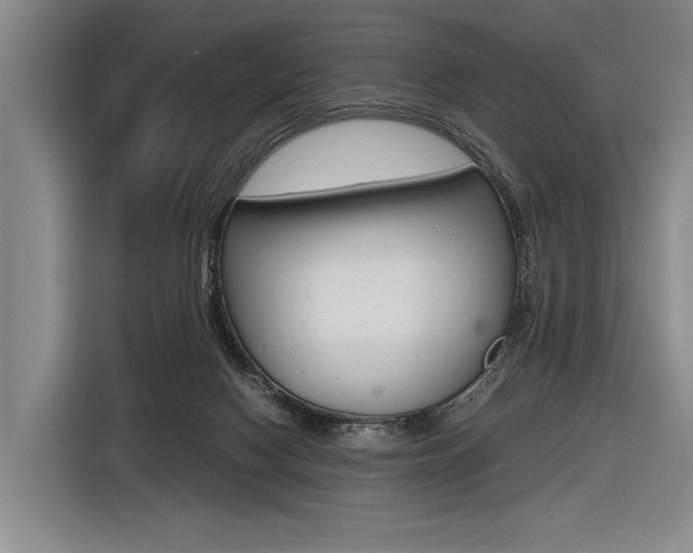 X0000116620074200912110949