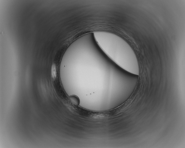 X0000116620075200912110949