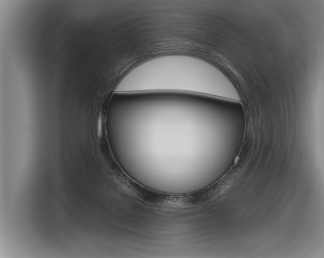 X0000116620076200912110949