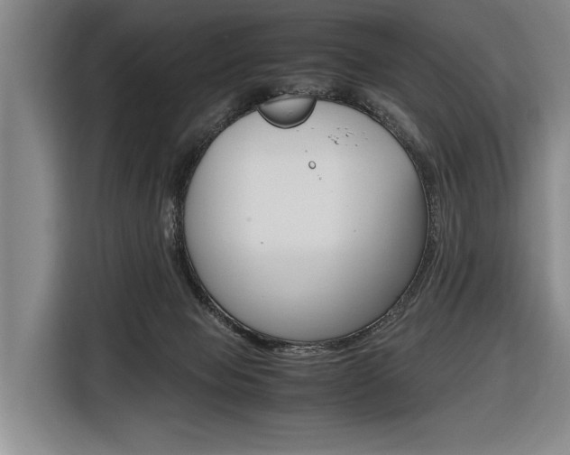 X0000116620077200912110949