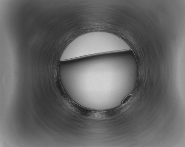 X0000116620078200912110949