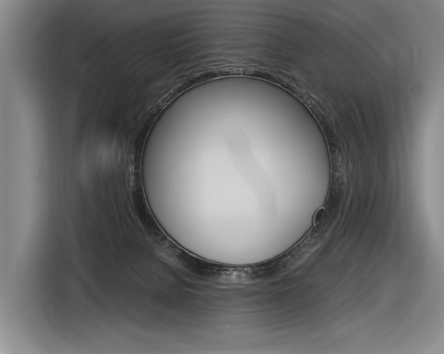 X0000116620080200912110949