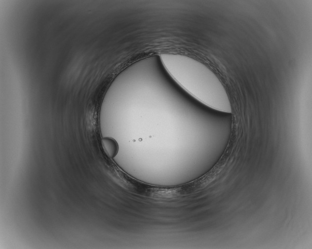 X0000116620081200912110949