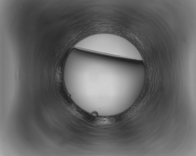 X0000116620083200912110949