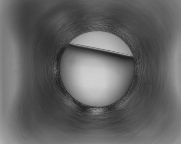 X0000116620085200912110949