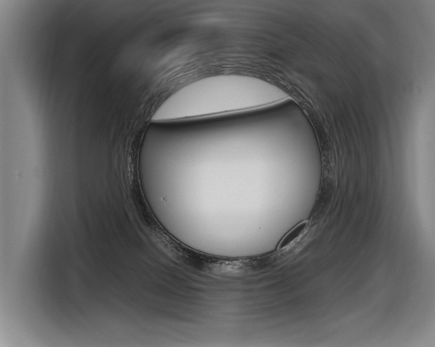 X0000116620086200912110949