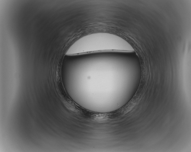 X0000116620088200912110949