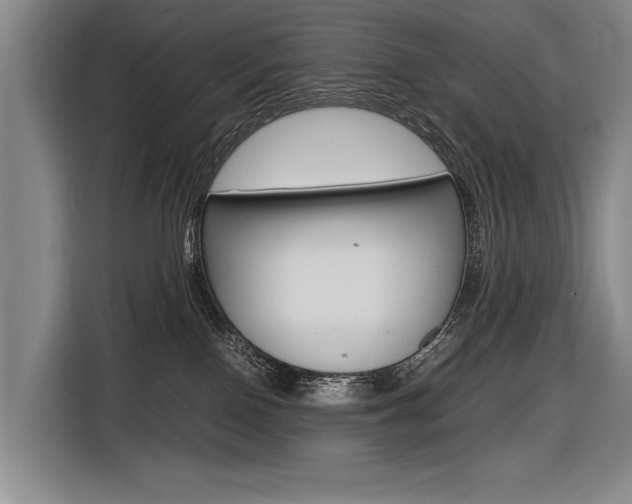 X0000116620090200912110949