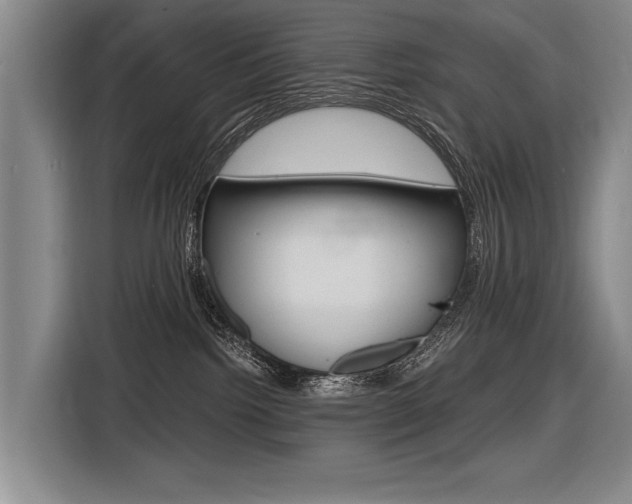 X0000116620092200912110949
