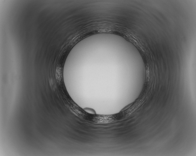 X0000116620093200912110949
