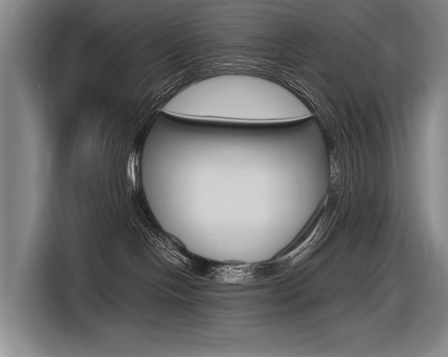 X0000116620094200912110949