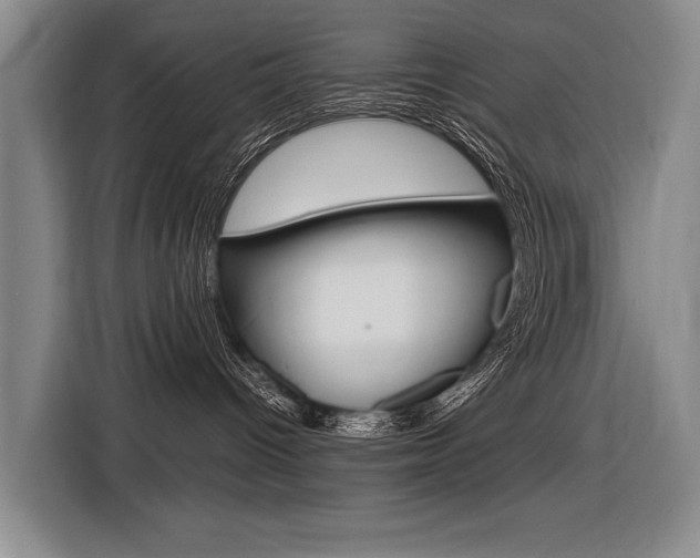 X0000116620096200912110949