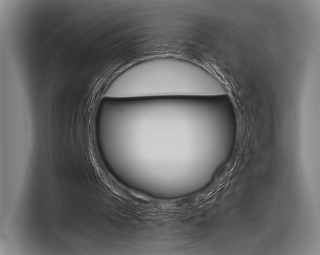 X0000116620097200912110949