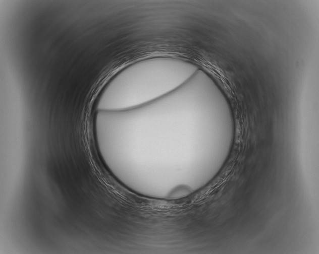 X0000116620098200912110949