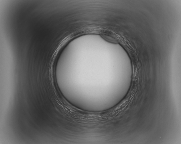 X0000116620099200912110949