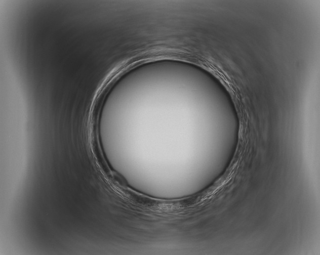 X0000116620101200912110949