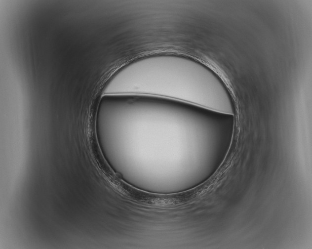 X0000116620105200912110949