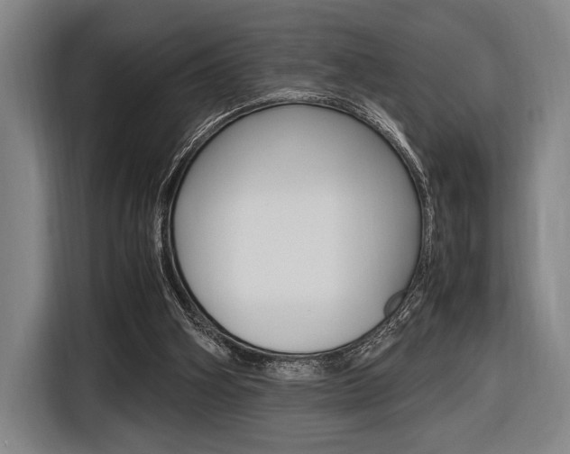 X0000116620106200912110949