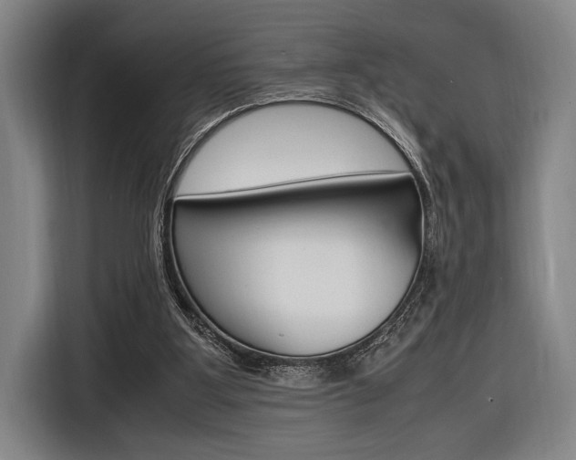 X0000116620107200912110949