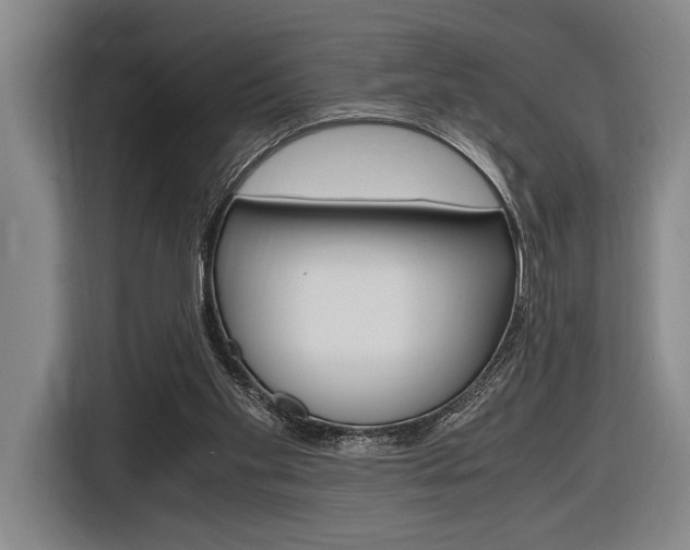 X0000116620109200912110949