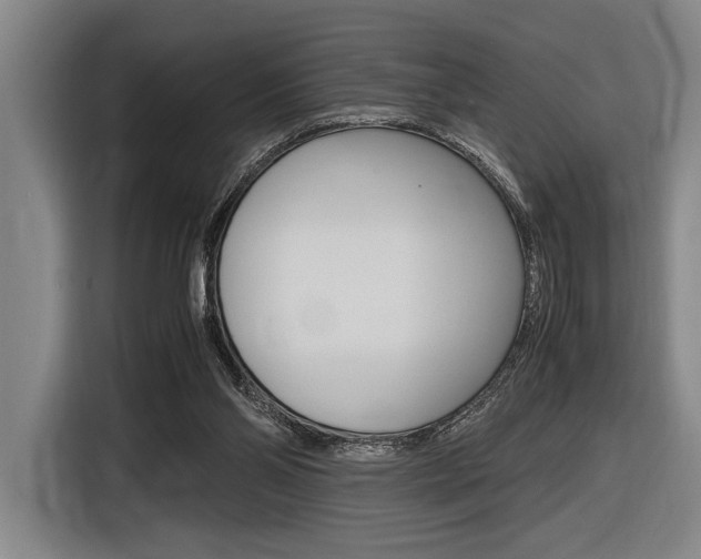 X0000116620110200912110949