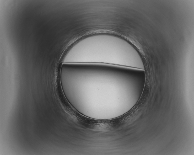 X0000116620111200912110949