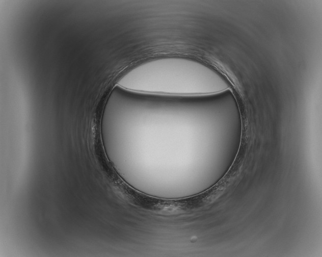 X0000116620113200912110948