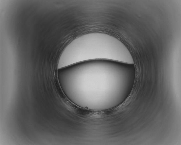 X0000116620128200912110948