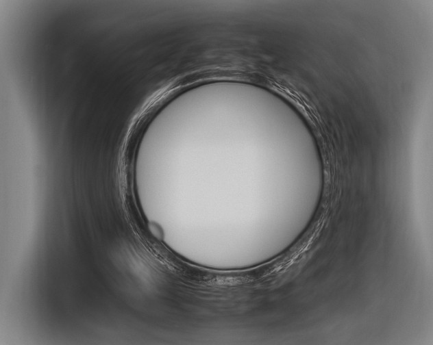 X0000116620149200912110948