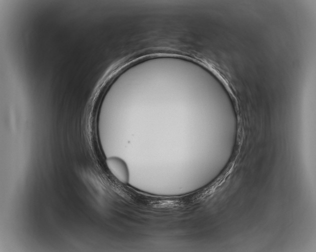 X0000116620151200912110948