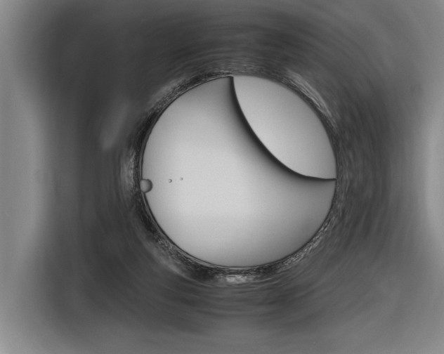 X0000116620163200912110948
