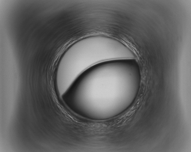 X0000116620193200912110947