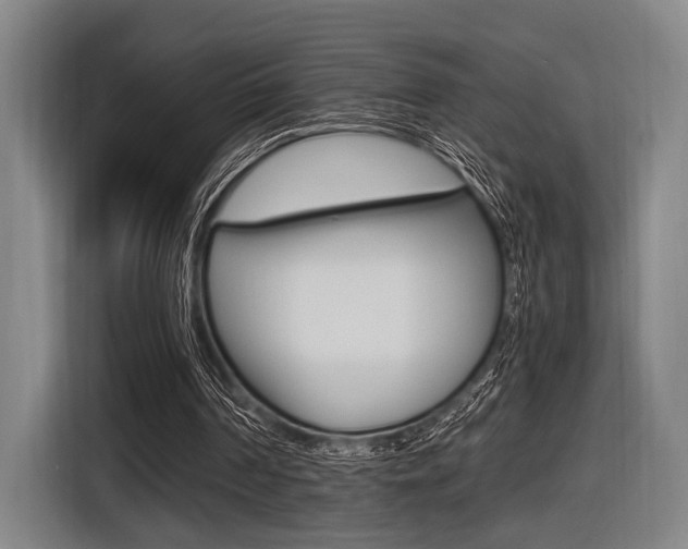 X0000116620194200912110947