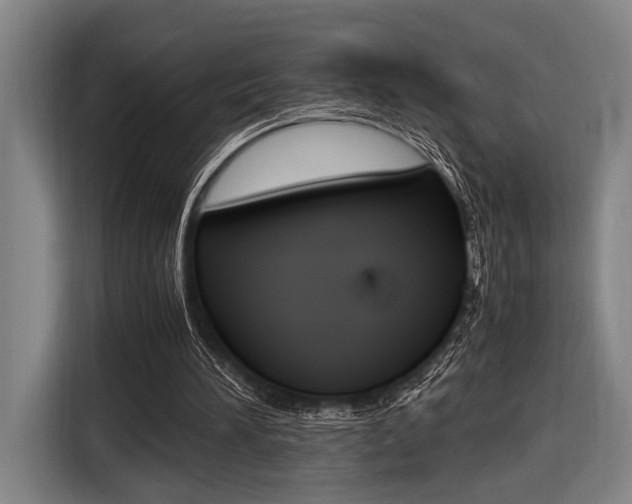 X0000116620196200912110947