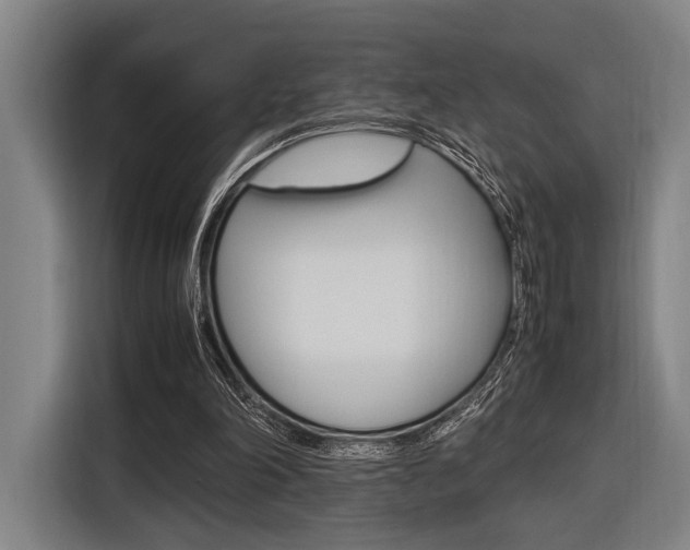 X0000116620198200912110947
