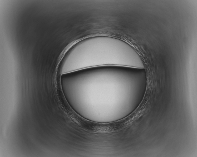 X0000116620200200912110947