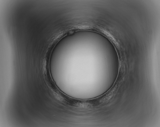 X0000116620201200912110947