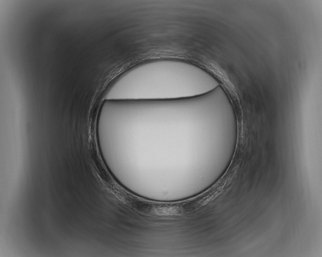 X0000116620202200912110947