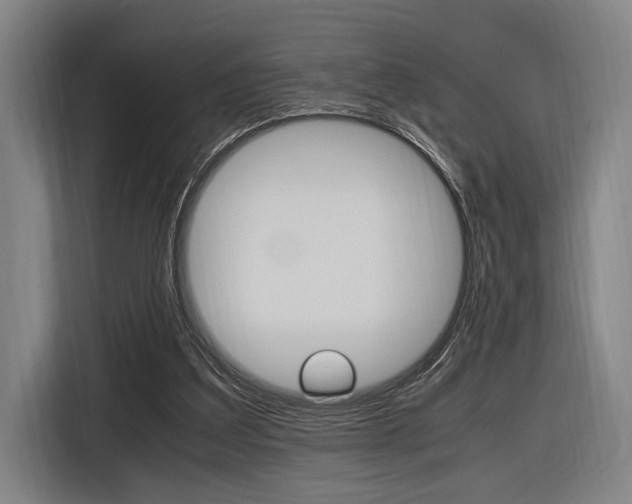 X0000116620203200912110947