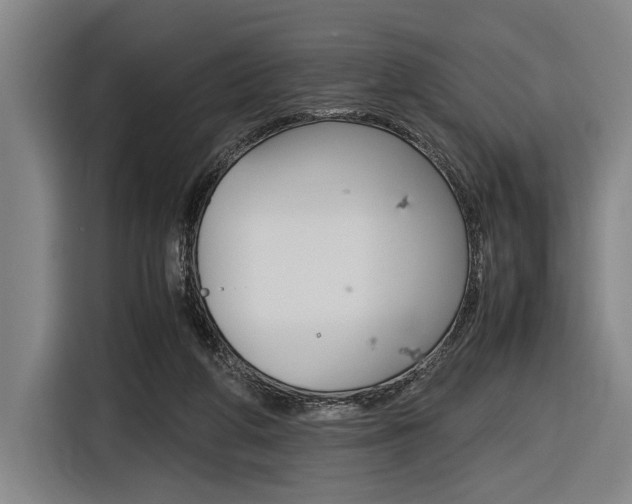 X0000116620210200912110947