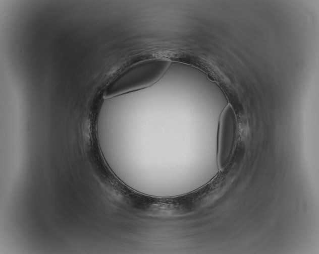 X0000116620211200912110947