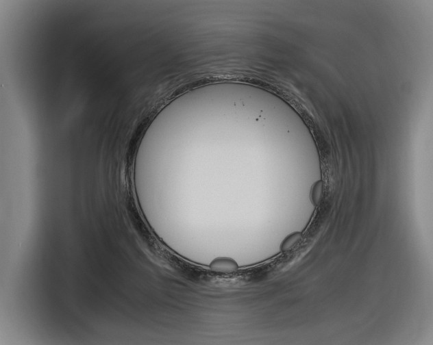X0000116620213200912110947