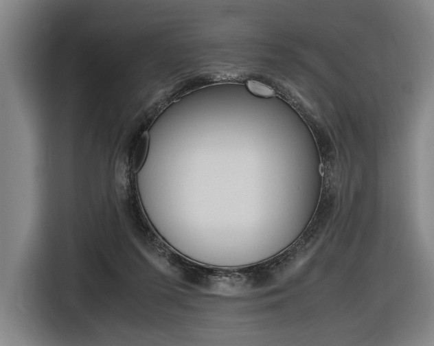 X0000116620215200912110947
